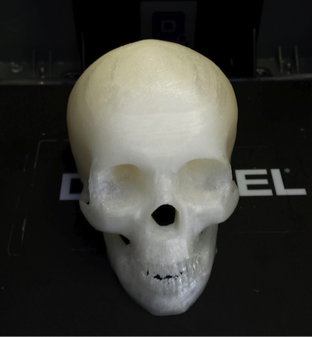 3dprinted-skull-3dprinteros-cloudprinting